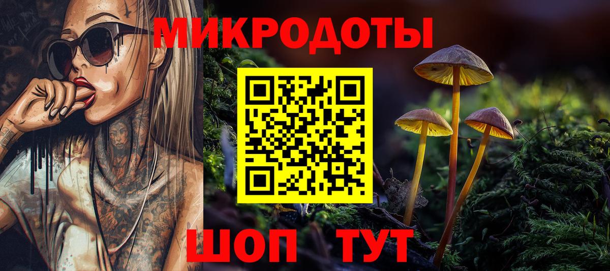 Галлюциногенные грибы Psilocybine cubensis Донецк